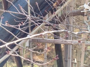 2026-02-14 09.42.44.jpg